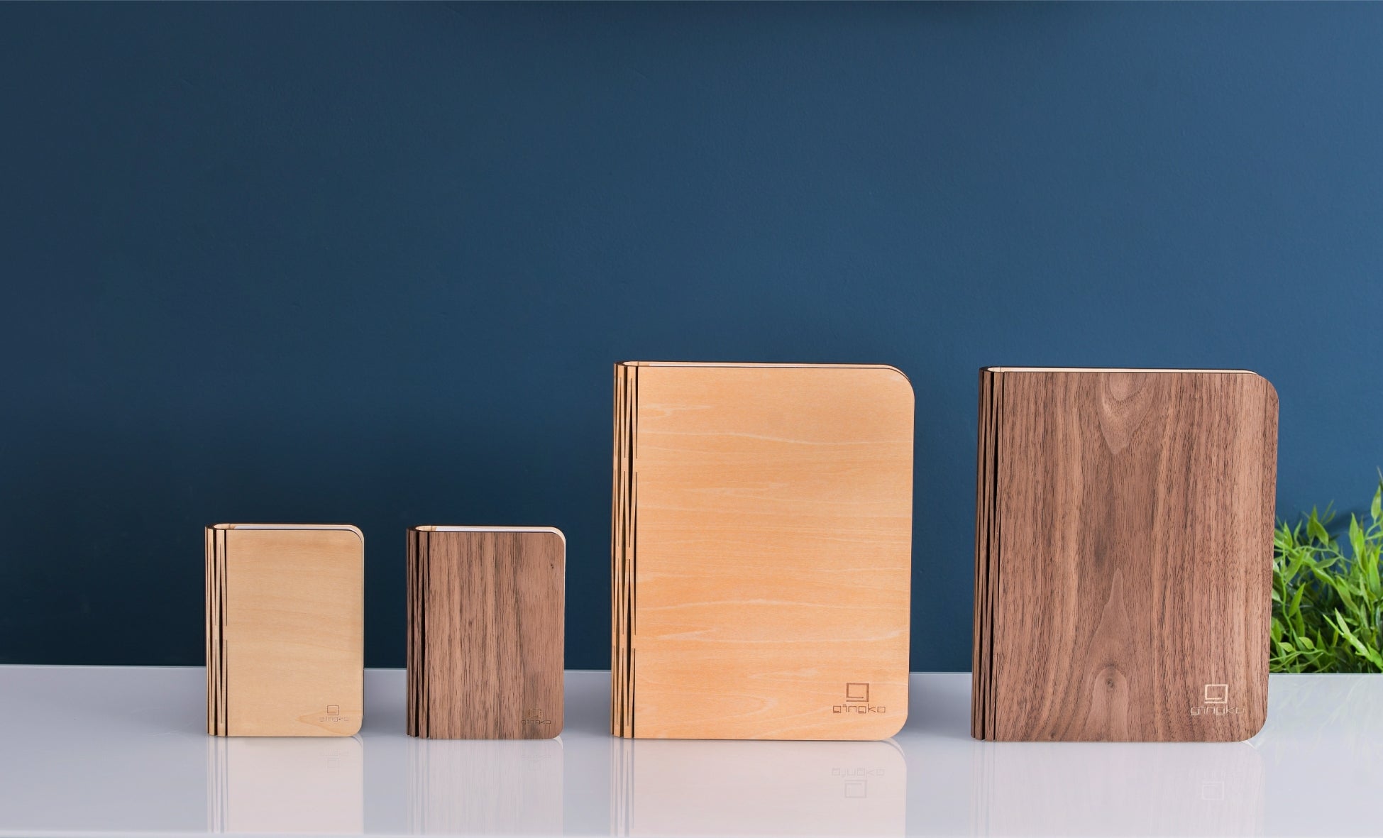 Luz de libro inteligente - madera de nogal